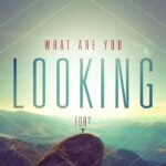 What are you looking for?